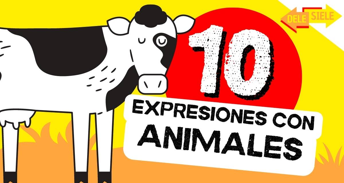 10 expresiones con animales en español. Frases hechas y refranes con animales