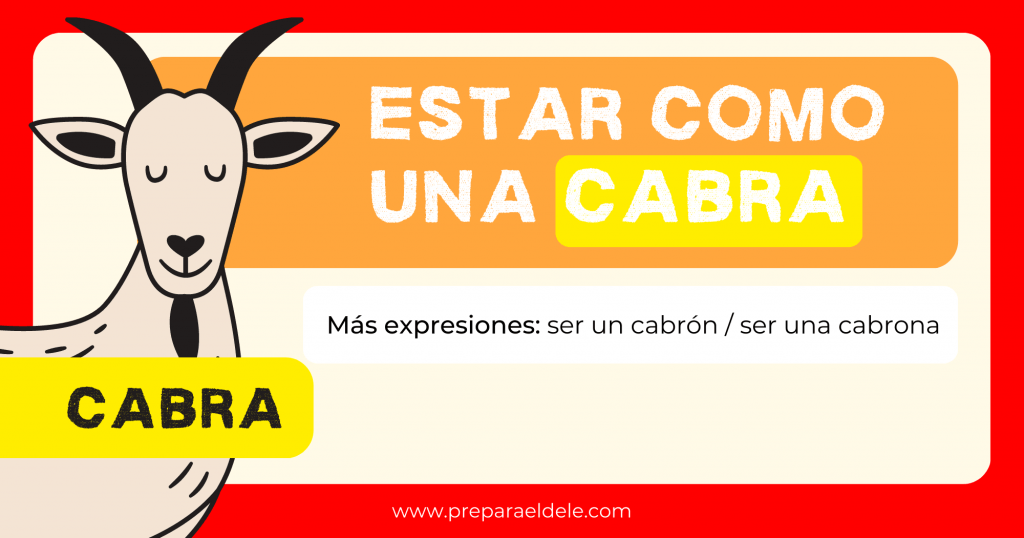 Estar como una cabra - expresiones coloquiales con animales en español