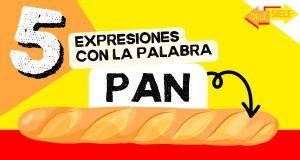 Lee más sobre el artículo 5 expresiones con la palabra PAN