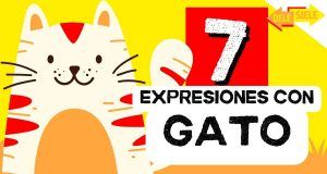 Lee más sobre el artículo 7 expresiones con la palabra GATO