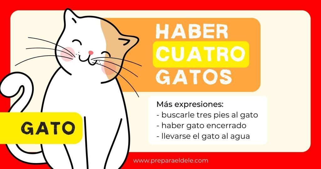 Haber cuatro gatos - Expresiones con animales en español