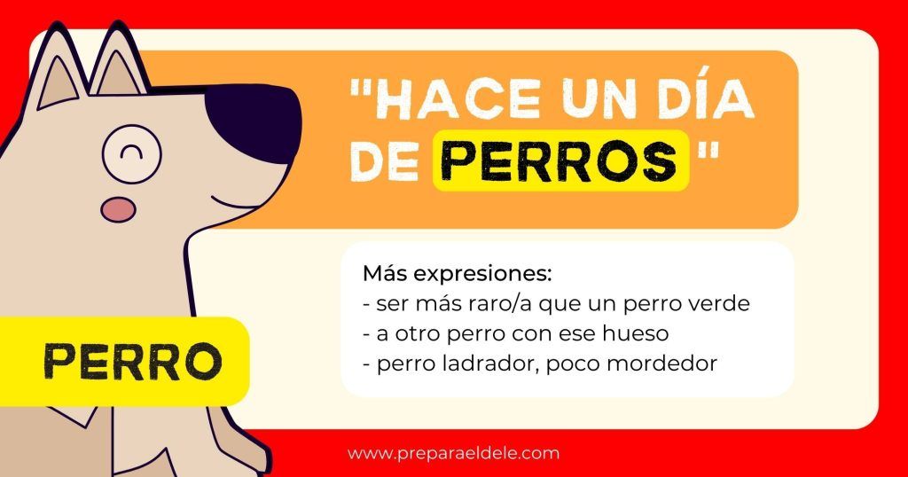Hace un día de perros - Expresiones populares con animales en español