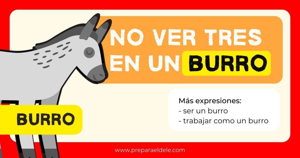 No ver tres en un burro - expresión con animales en español