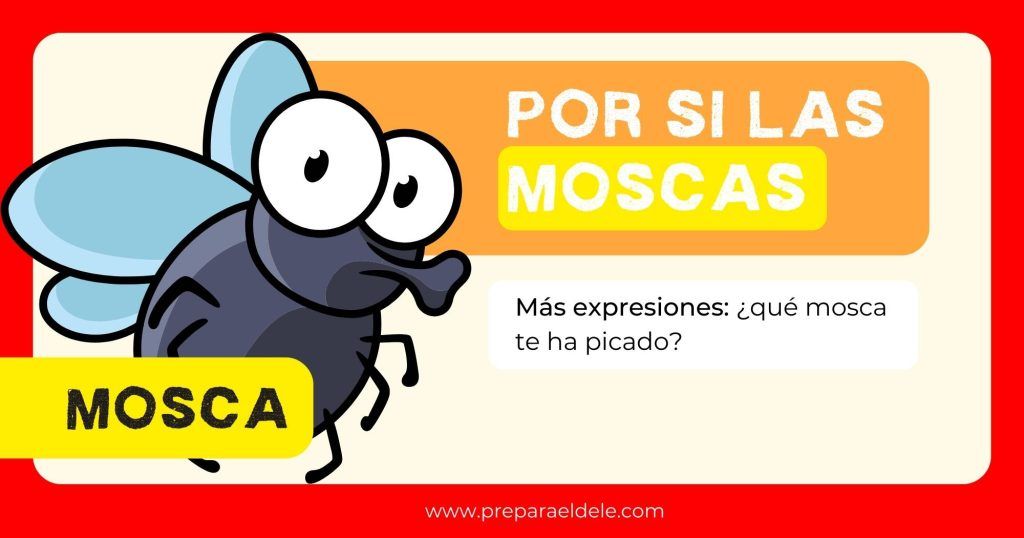 Por si las moscas - modismos con animales en español