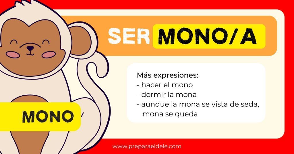 Ser mono - modismos con animales en español